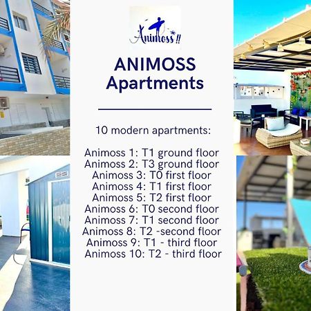 Animos! Apartments - 10 Modern Apartments Near The City & Beach, Perfect For Nomads, Travellers, Families, Watersports! Santa Maria Bagian luar foto